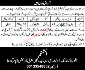 Pak Army Civilian Punjab Jobs 2024