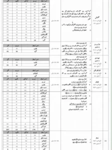 Federal Government Organization Jobs 2024