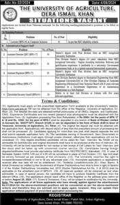 University Of Agriculture Dera Ismail khan Jobs 2024