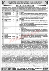 Institute of Kidney Diseases Peshawar Jobs 2024